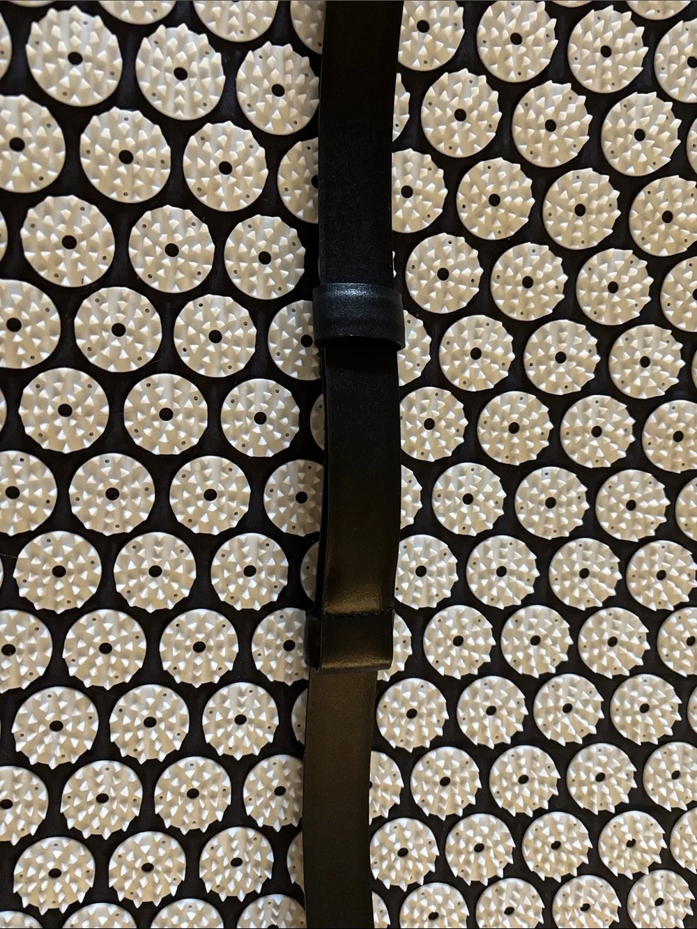 Black Belt with Gold Decorative Buckle
